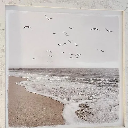 Haus Anholt Apartment