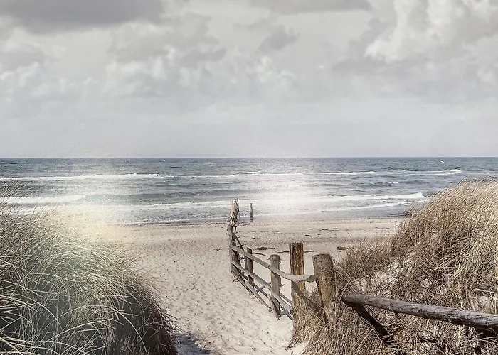 شقة Haus Anholt تيميندورفير ستراند